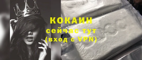 молекула духа Белокуриха